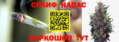 дмт Ливны