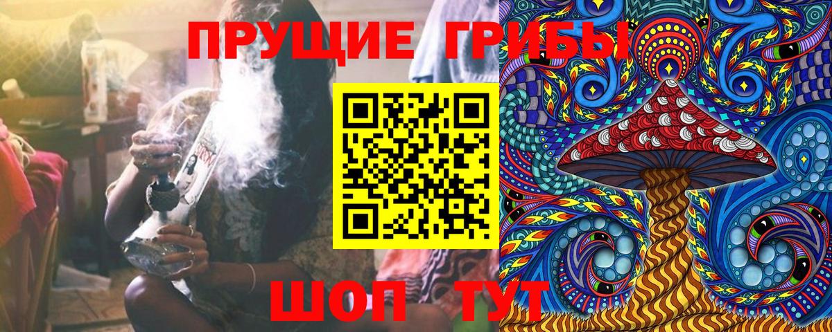 Егорьевск  цена наркотик  Вход с VPN  Псилоцибиновые грибы Psilocybine cubensis 