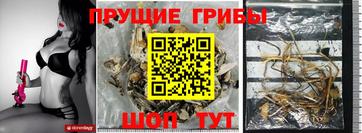Галлюциногенные грибы Cubensis Егорьевск